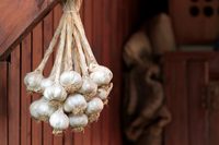 Практичные советы хозяйкам: как хранить чеснок в домашних условиях