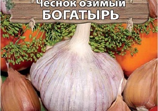Практичные советы хозяйкам: как хранить чеснок в домашних условиях