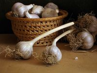 Практичные советы хозяйкам: как хранить чеснок в домашних условиях